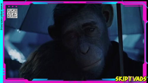 image3b866fb5877ec0a9.png
